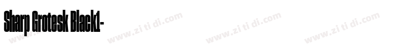 Sharp Grotesk Black1字体转换 Sharp Grotesk Black1字体转换